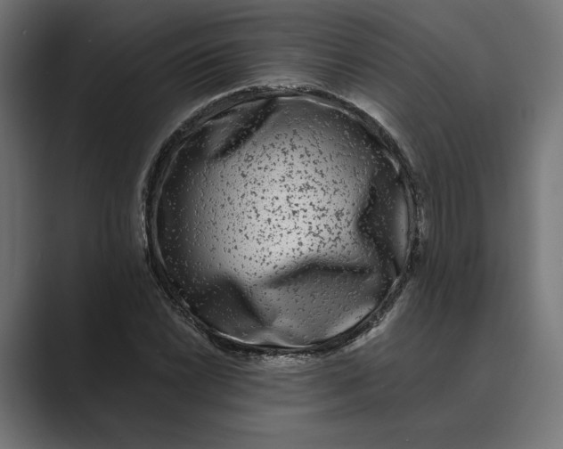 X0000088921022200706291523