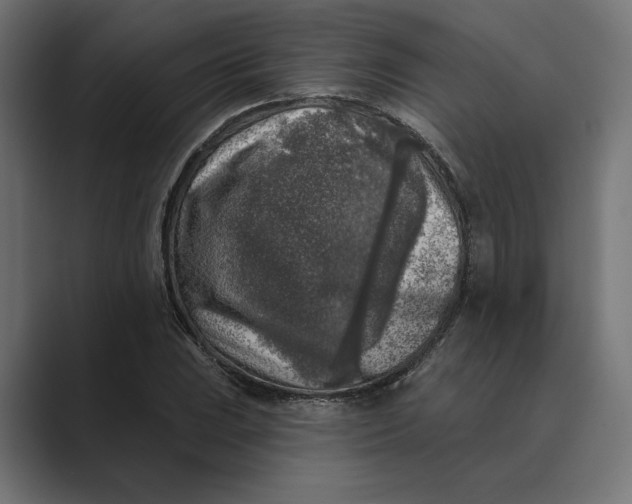 X0000088921023200706291523