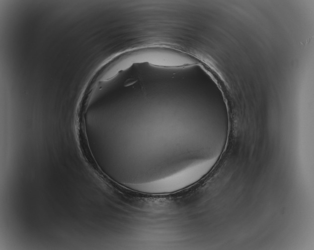 X0000088921024200706291523