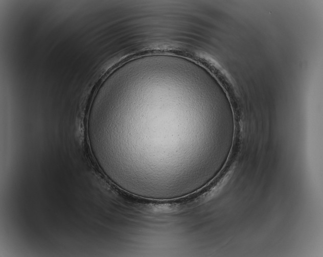 X0000088921025200706291523