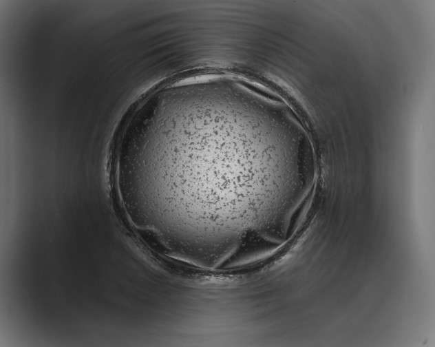 X0000088921026200706291523