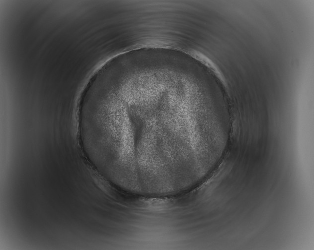 X0000088921027200706291523