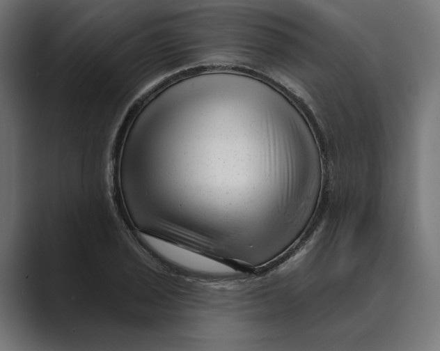 X0000088921029200706291523