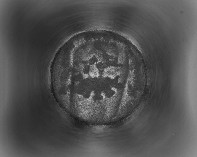 X0000088921031200706291523