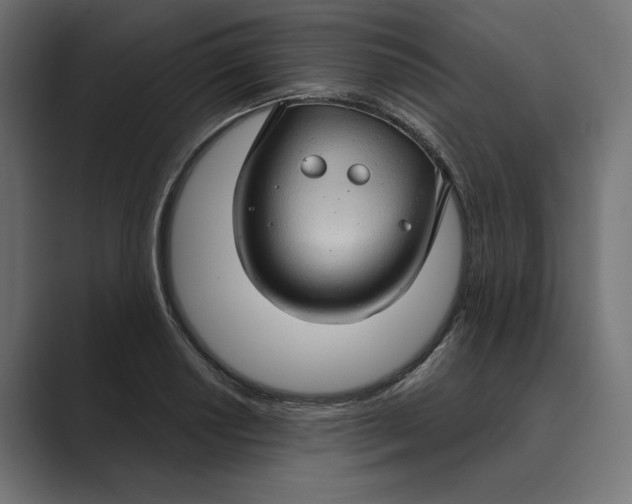 X0000088921034200706291523