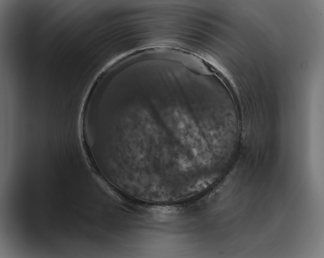 X0000088921037200706291523