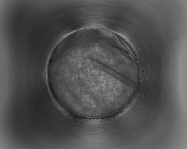 X0000088921038200706291523