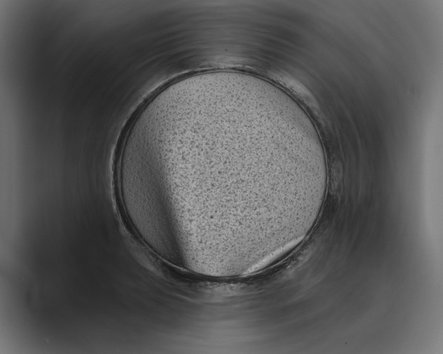 X0000088921039200706291523