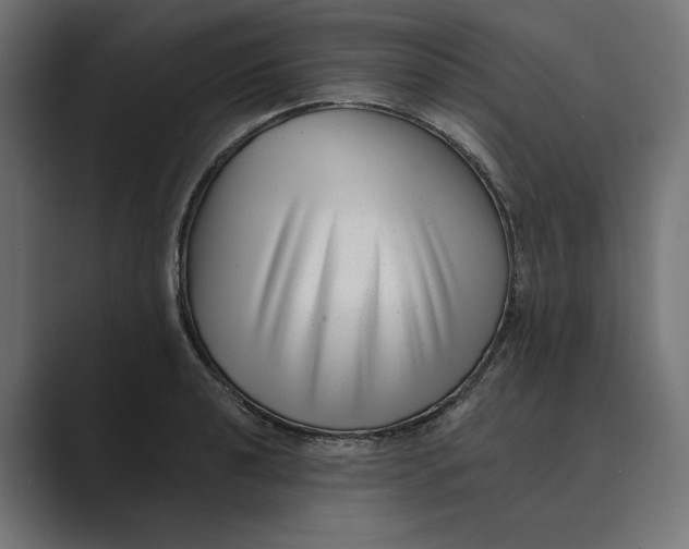 X0000088921040200706291523