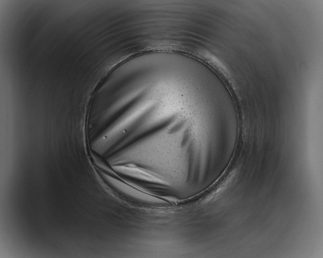 X0000088921041200706291523
