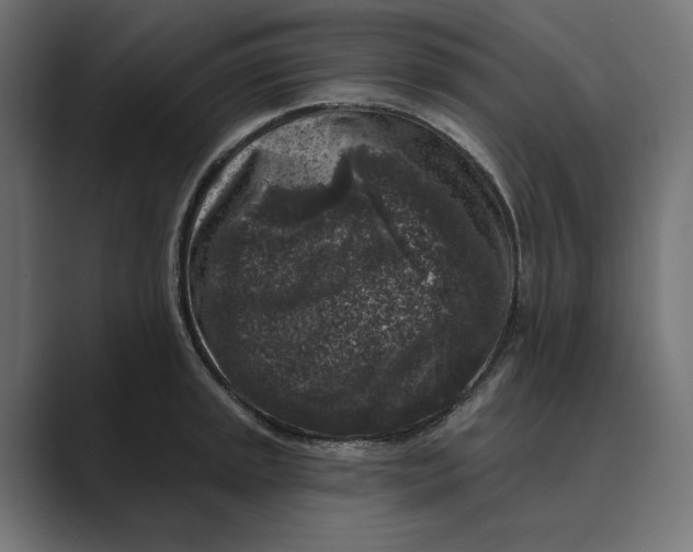 X0000088921045200706291523