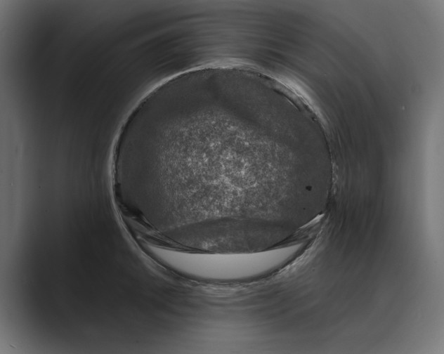 X0000088921046200706291524