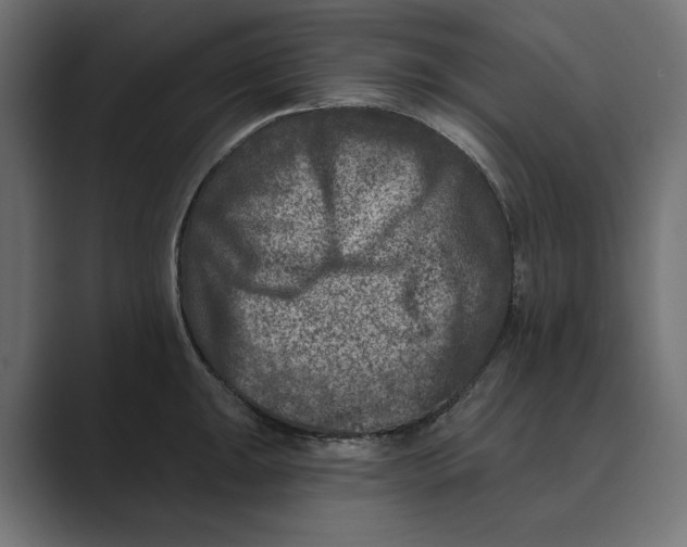 X0000088921047200706291524