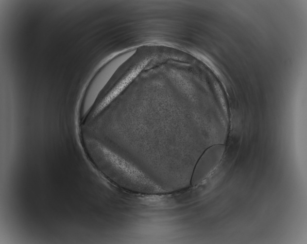 X0000088921048200706291524