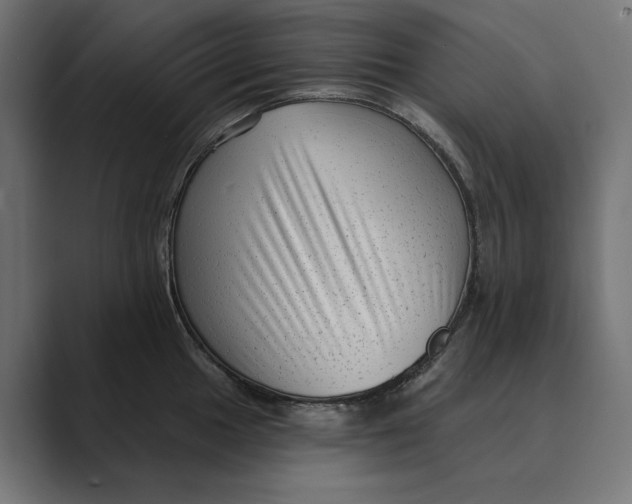 X0000088921049200706291524