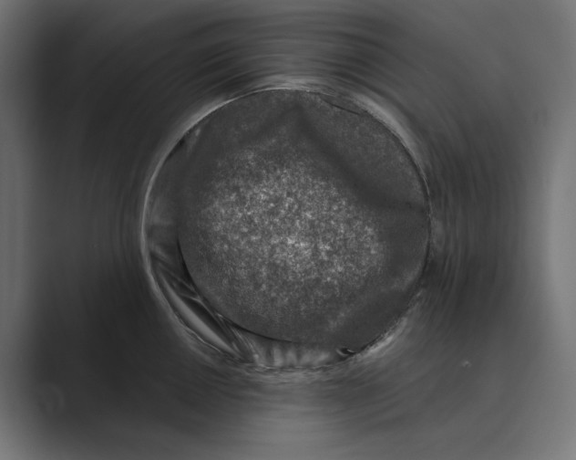 X0000088921050200706291524