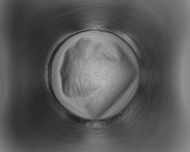 X0000088921051200706291524