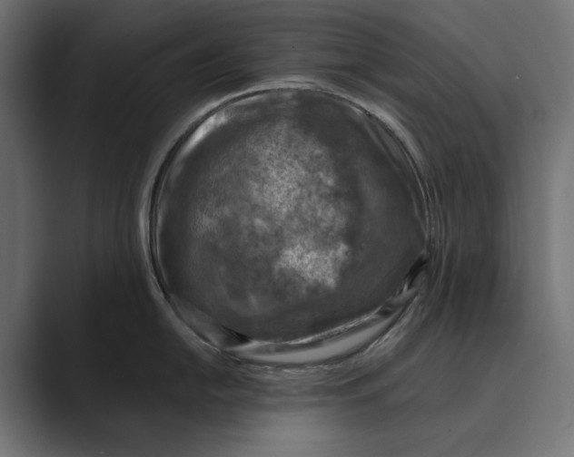 X0000088921054200706291524