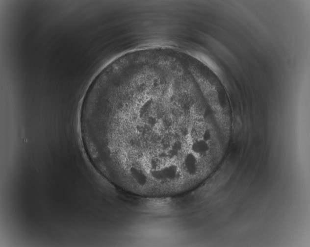 X0000088921055200706291524