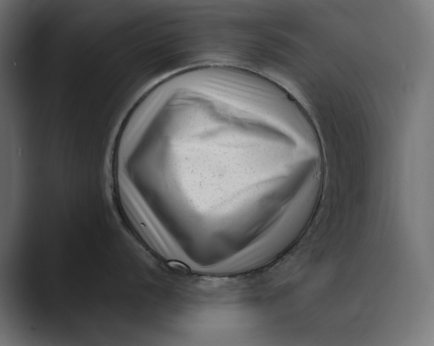 X0000088921056200706291524