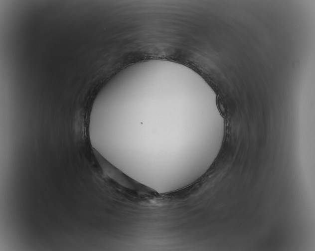 X0000088921058200706291523