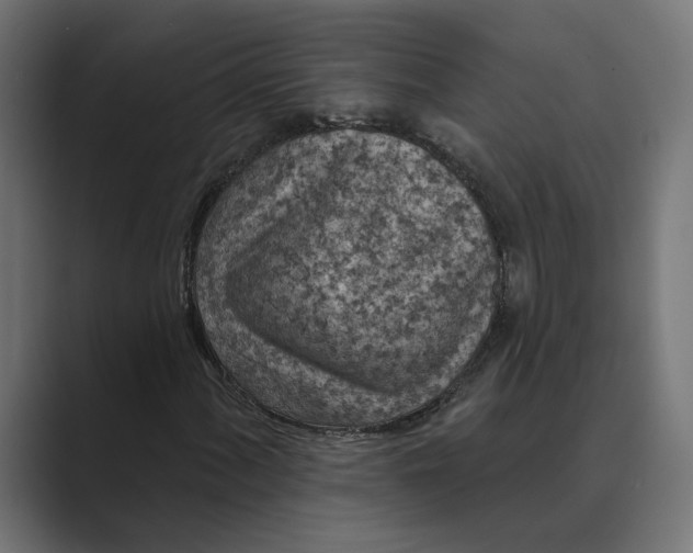 X0000088921060200706291523