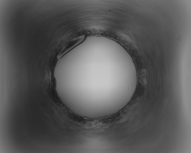 X0000088921061200706291523