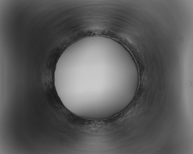 X0000088921062200706291523