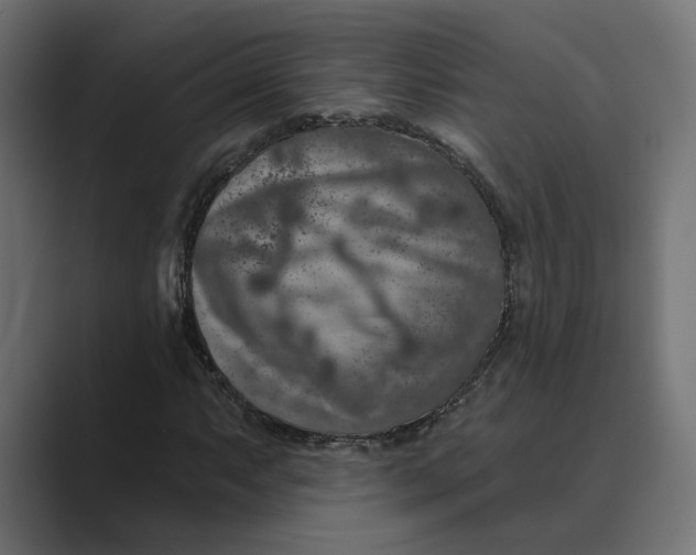 X0000088921063200706291523