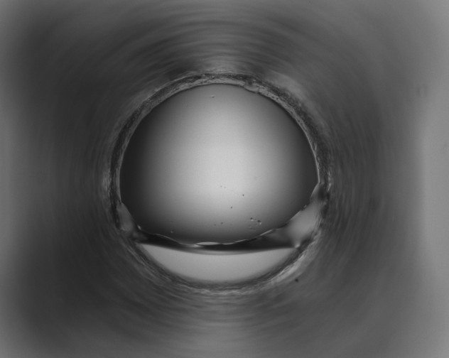 X0000088921065200706291523