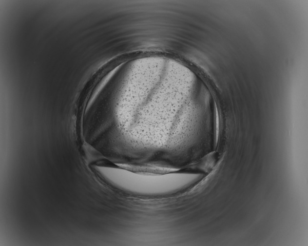 X0000088921066200706291523