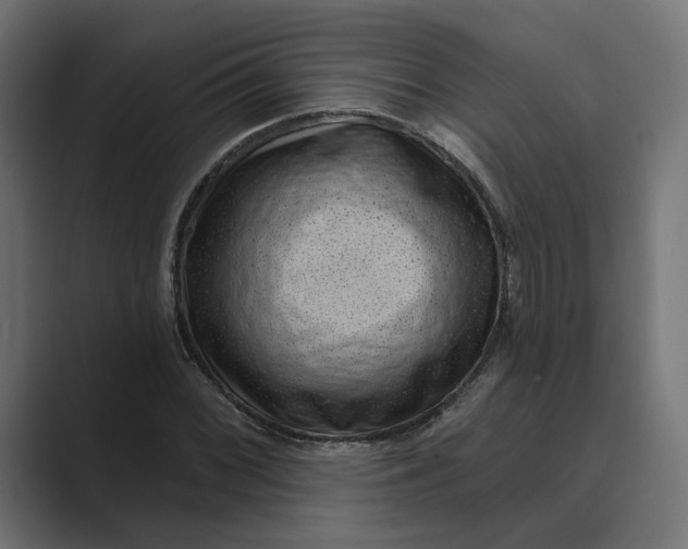 X0000088921068200706291523