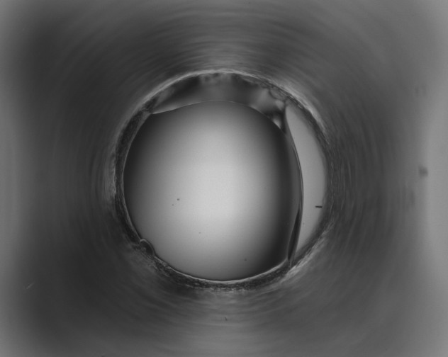 X0000088921069200706291523