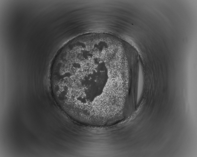 X0000088921071200706291523