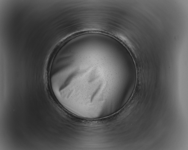 X0000088921072200706291523