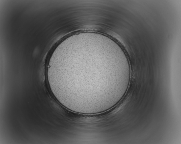 X0000088921075200706291523