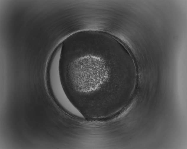 X0000088921077200706291523