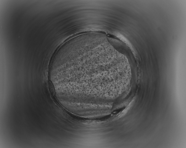 X0000088921081200706291523