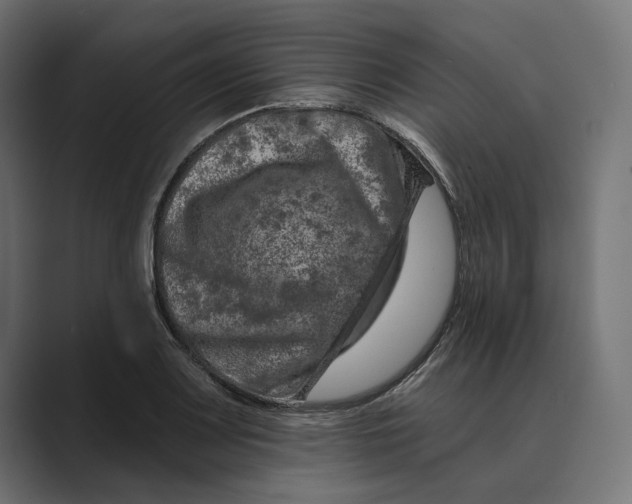X0000088921083200706291523