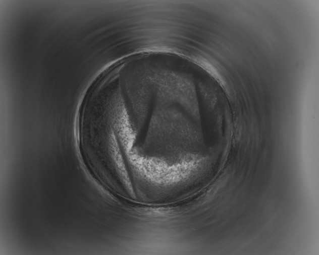 X0000088921084200706291523