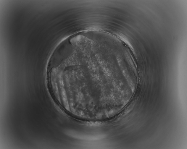 X0000088921087200706291523