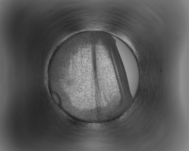X0000088921088200706291523
