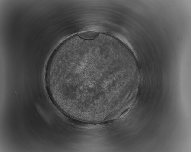 X0000088921091200706291523