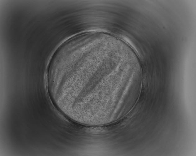 X0000088921092200706291523
