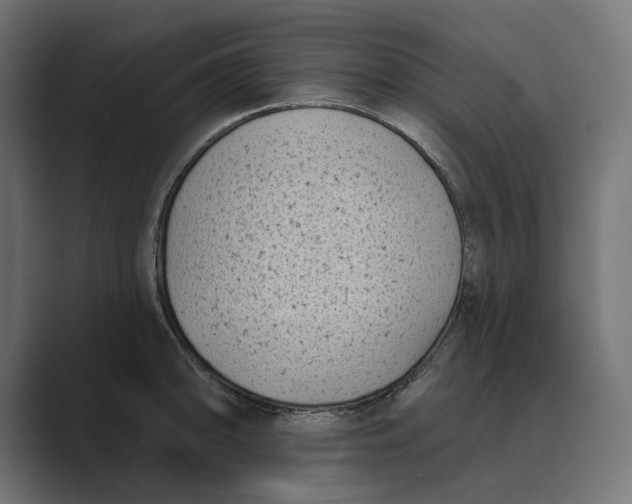X0000088921094200706291523