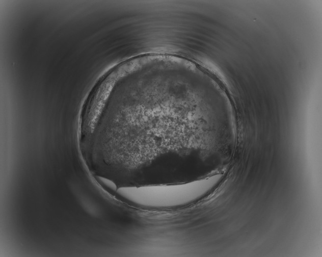 X0000088921095200706291523