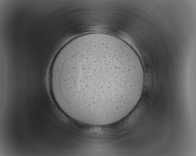 X0000088921098200706291523