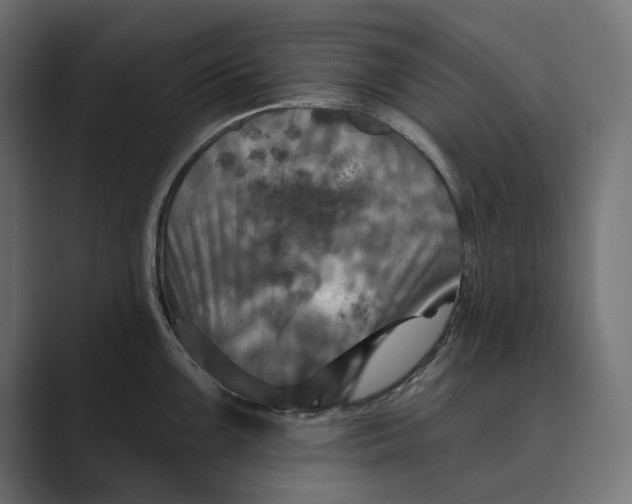 X0000088921099200706291523