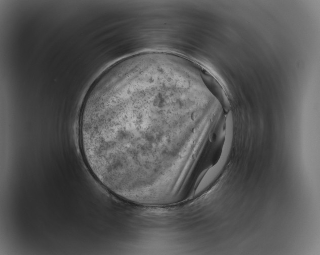 X0000088921100200706291523