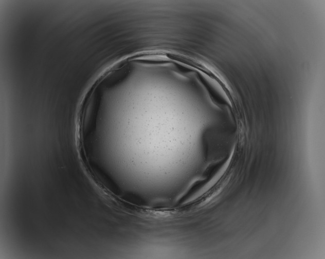 X0000088921101200706291523
